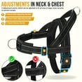 thumbnail image 5 of TSYKHAIA No Pull Dog Harness and Leash Set - Adjustable Vest with Soft Padding, Reflective Escape-Proof for Easy Walking and Training, 5 of 8