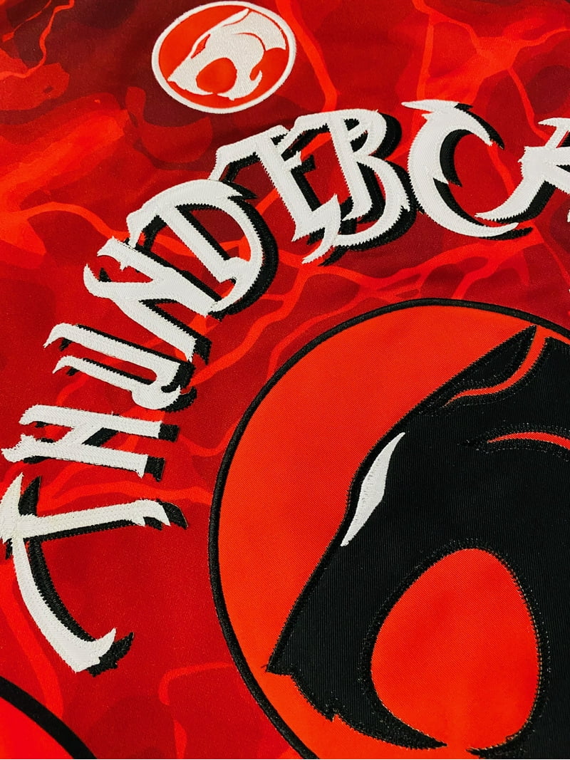 ThunderCats Men's Headgear Classics Premium Embroidered Basketball