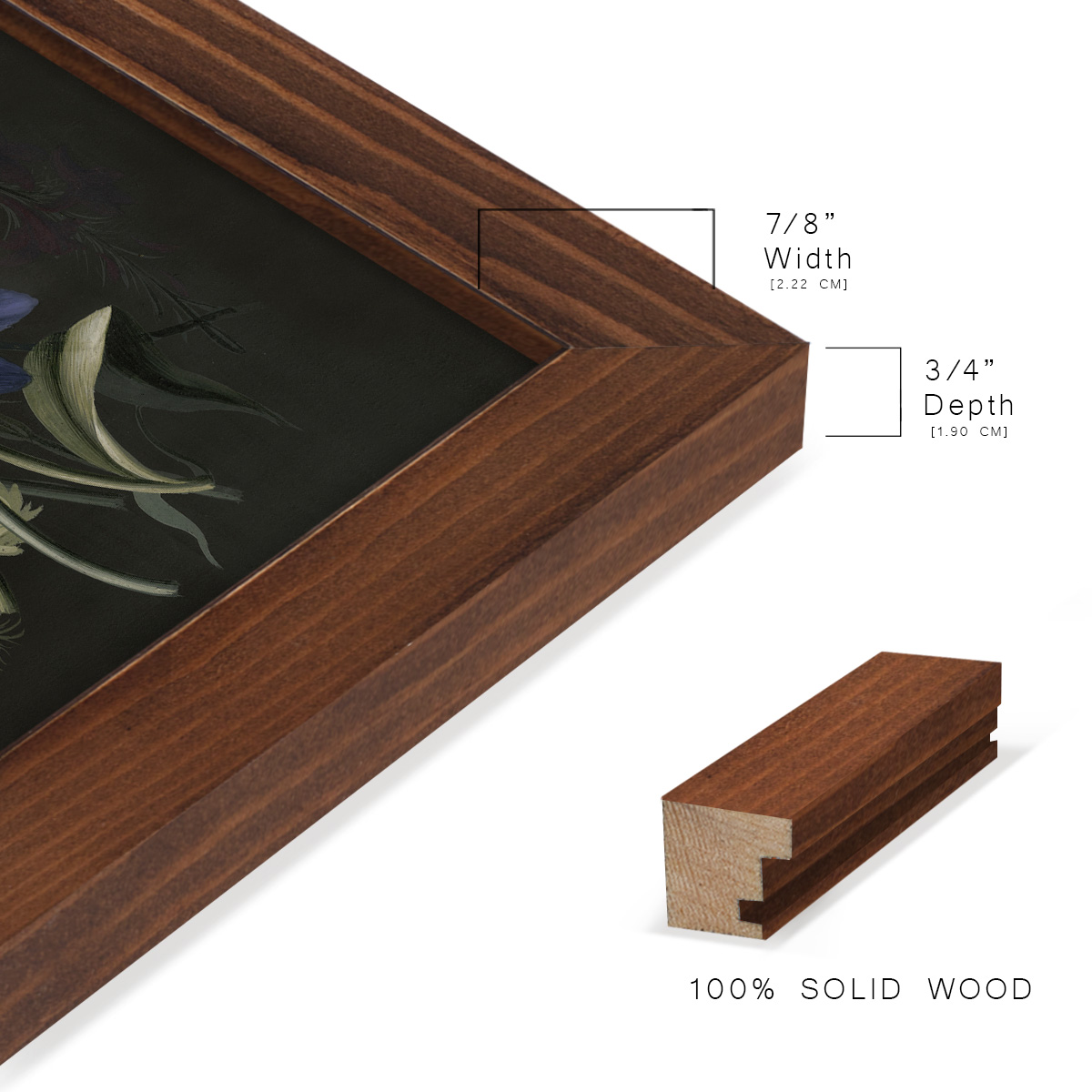 Dramatic Bouquet II -Framed Print w/glass-Chestnut