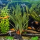 thumbnail image 5 of Simulación de plantas subacuáticas, tanque de peces, decoración de acuario de hierba de agua de plástico falso, 5 of 8