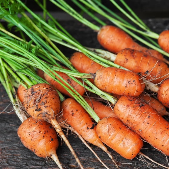 Mr Fothergill's Carrot Baby Oh Sow Simple Vegetable Seed Easy to Grow