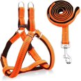 thumbnail image 1 of Arnés para perros Correa duradera para perros Collar resistente y ajustable Correa antitorsión Arnés para perros pequeños, medianos y grandes Perfecto para caminar Correr Entrenamiento,, 1 of 8