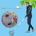 thumbnail image 4 of Rolling Nut Gatherer Adjustable Lightweight Rolling Nut Picker Collector for Lawn Garden, 4 of 8