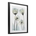 thumbnail image 2 of Stupell Industries Modern Floral Luxury Of Creation Black Framed Print Under Glass, 17 x 21, by Albert Koetsier, 2 of 8