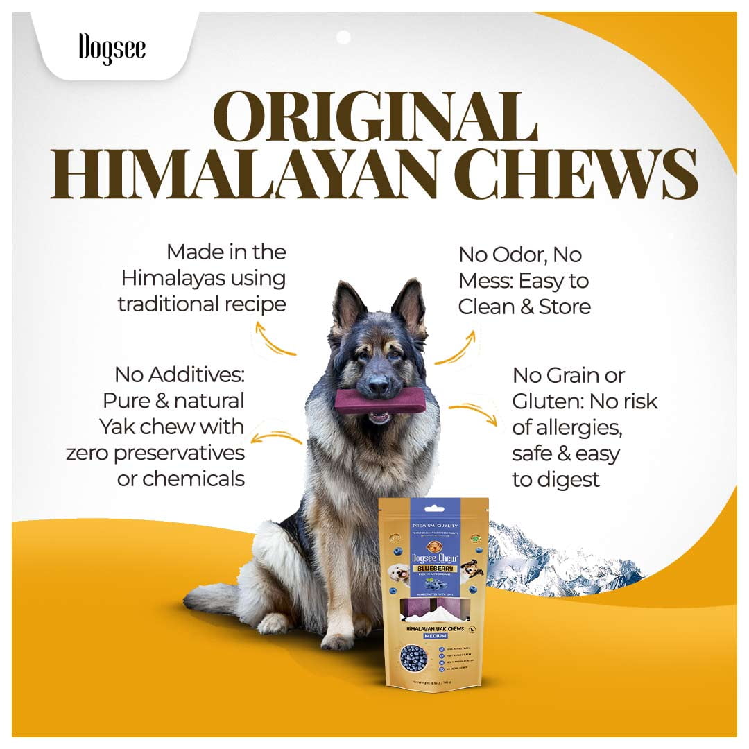 Dogsee Blueberry Flavor Himalayan Yak Cheese Dental Chews for Dogs - (Medium 6)| Dog Treats Healthy | Cleans Teeth & Freshens Breath | No Grain, No Gluten | Dog Chews Rawhide Free