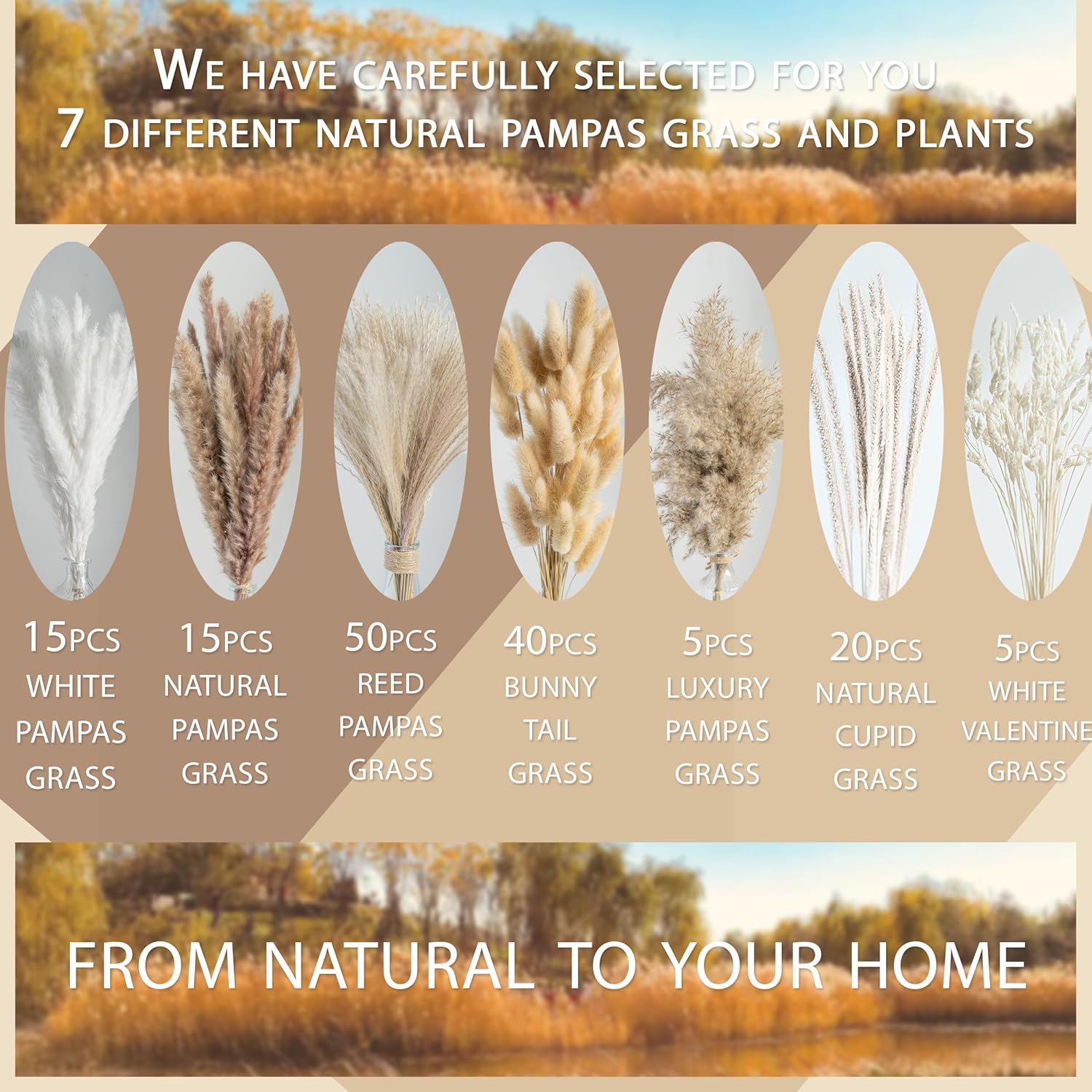 150PCS Natural Dried Pampas Grass Bouquet, Phragmites Dried Flowers Boho Home Decor for Wedding Floral Arrangements & Living Room Decorations