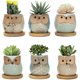 thumbnail image 1 of Macetas para suculentas, macetas de cactus lindas de 6 cm, macetas para plantas de animales, macetas pequeñas para flores, 1 of 4