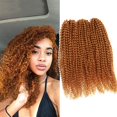 thumbnail image 1 of 3 unids/pack Kinky Curl 12 pulgadas Afro Kinky Twist pelo trenzas de ganchillo extensión de pelo de ganchillo sintético suave (naranja jengibre), 1 of 1