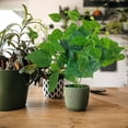 thumbnail image 4 of BotaniNest Fausses Vignes de Verdure Pothos Feuilles pour Mur Intérieur Cour, 4 of 6