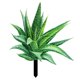 thumbnail image 1 of Estaca de jardín de aloe vera acrílica, letrero decorativo para jardín, 1 of 7
