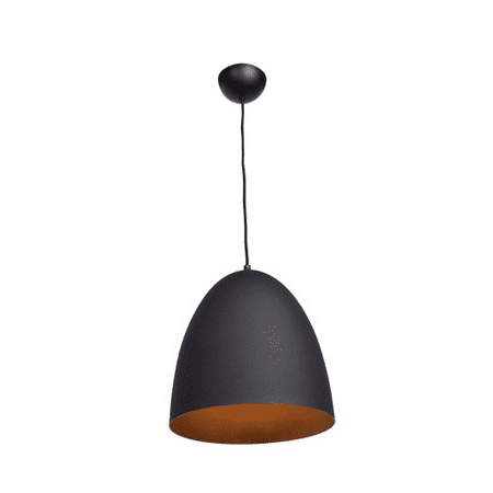 

Pendants 1 Light With Matte Black Tones Finish and Metal Material 12 inch 60 Watts