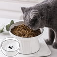 thumbnail image 3 of Platos elevados de cerámica para gatos o cuencos para perros, comida para mascotas o cuencos de agua, 3 of 5