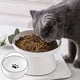 thumbnail image 3 of Platos elevados de cerámica para gatos o cuencos para perros, comida para mascotas o cuencos de agua, 3 of 5