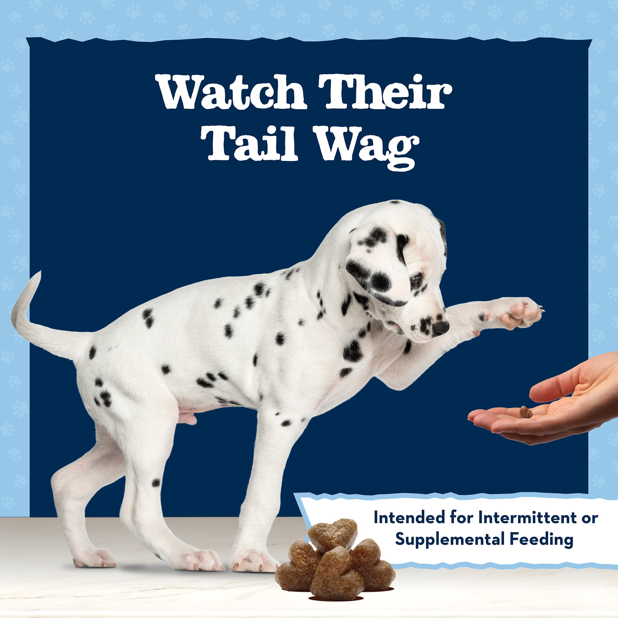 (4 pack) Blue Buffalo Baby BLUE Puppy Training Treats for Dogs with DHA, Savory Chicken, 4-oz. Bag
