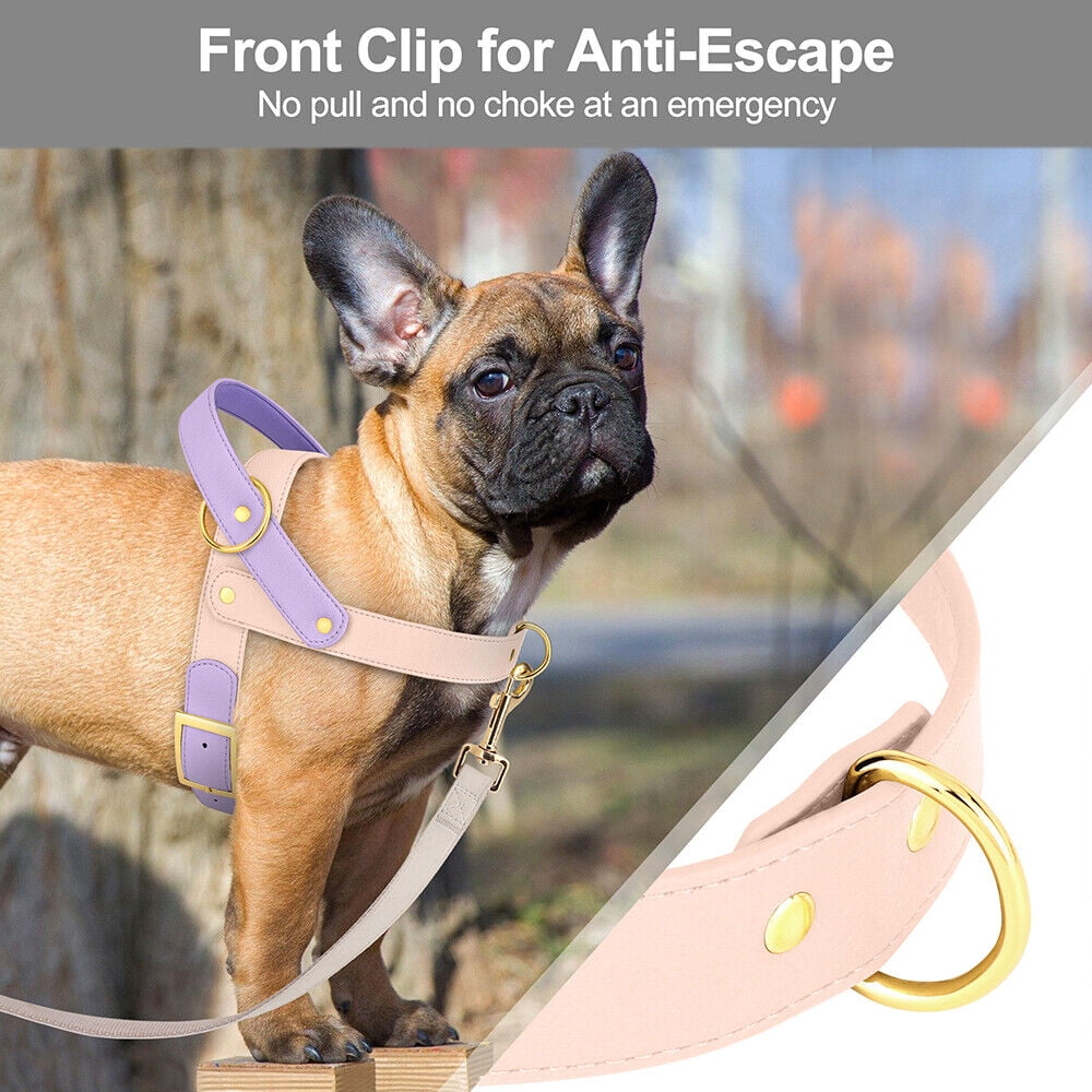 Didog Fashion No Pull Front Leading Dog Harness Soft Leather Adjustable Chest Vest with Handle