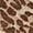 Brown, variant on Casual Leopard Print Camo Print V Neck Short Sleeve T Shirt Women Long Sleeve Shirts Tall