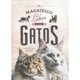 thumbnail image 1 of Libro El Magnifico Libro De Los Gatos Tapa Dura, Autor Eliseo Garcia Nieto, Editorial Susaeta Ediciones, 1 of 2