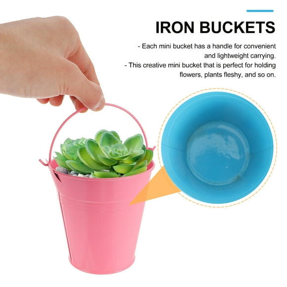 ADDHAT 6Ud Pequeños Multicolor Para Plantas Suculentas Y Detalles Decorativos