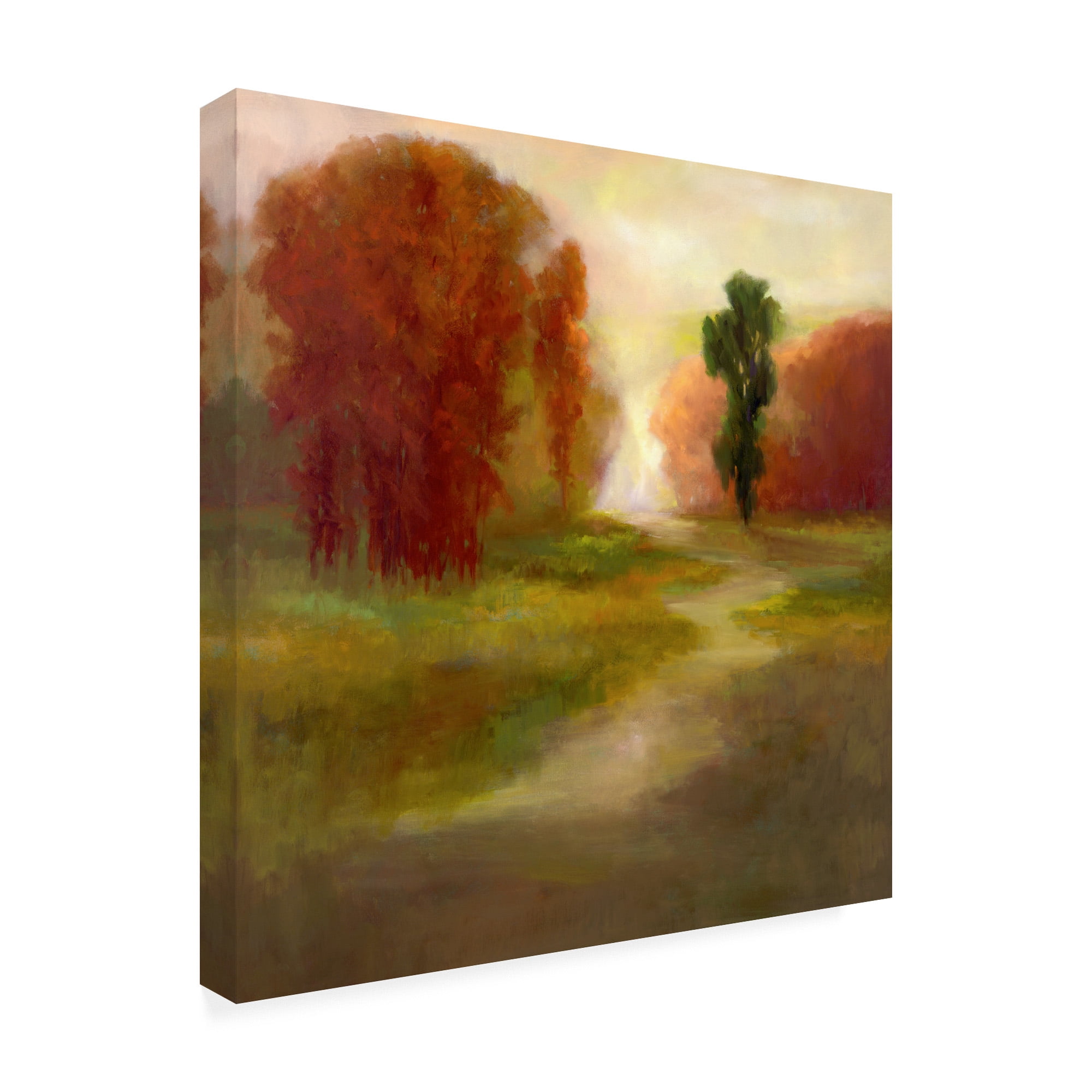 Trademark Fine Art 'Autumn Treescape' Canvas Art by Sheila Finch