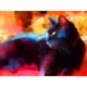 thumbnail image 1 of Cuadros Decorativos Pintura al óleo Gato DIY Kits de pintura de diamante Taladro cuadrado completo Mosaico Artesanía Animal JShteea Nuevos Originales, 1 of 8