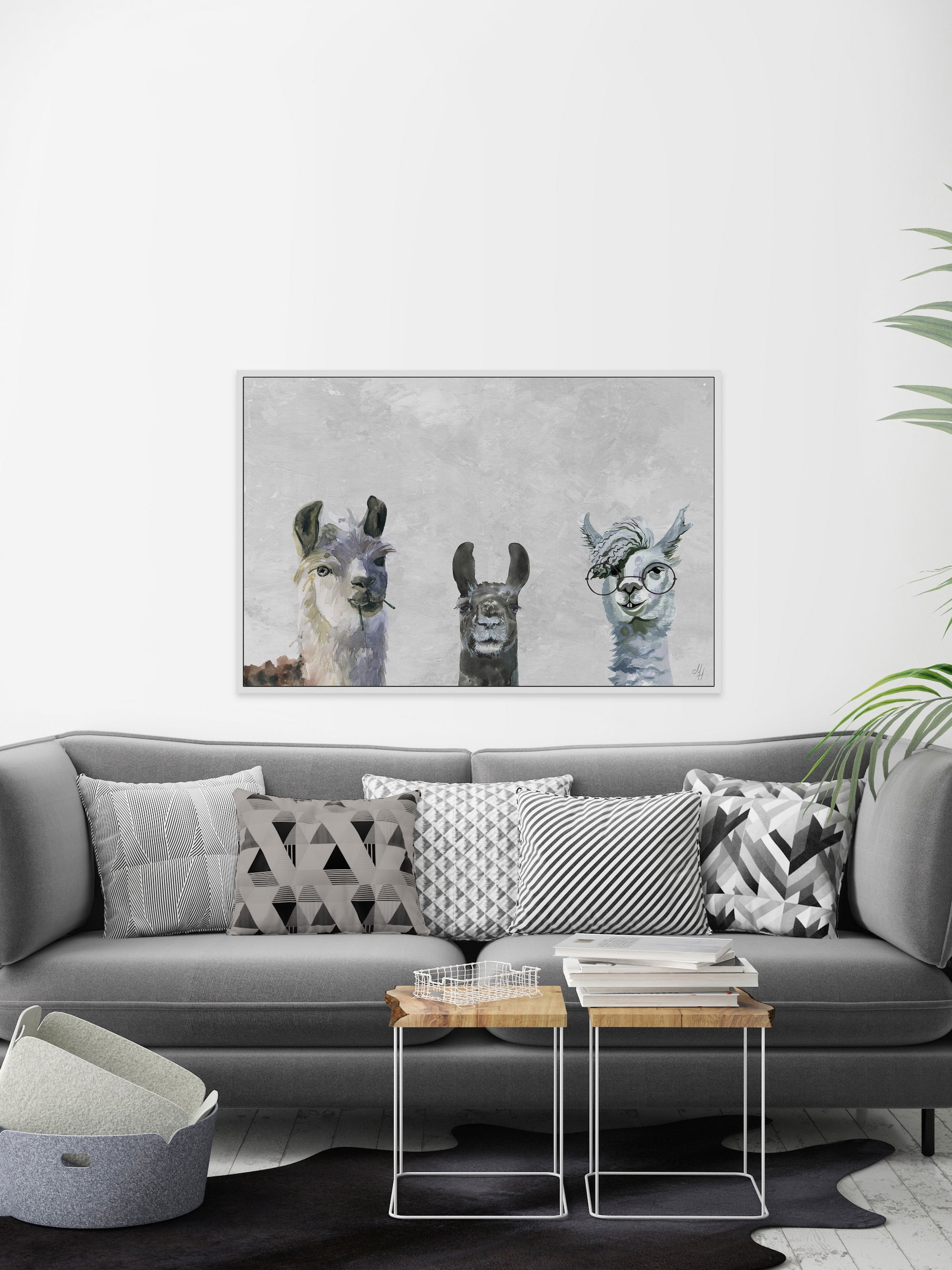 Llama Squad II Floater Framed Painting Print on Canvas