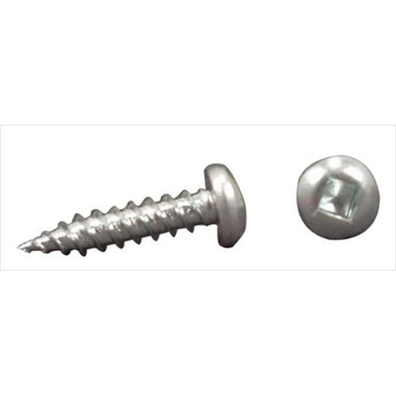 AP PRODUCTS 012PSQ5XX4 8 x 1.25 Ft. Recess Screws - White - 8 x 1.25 in.