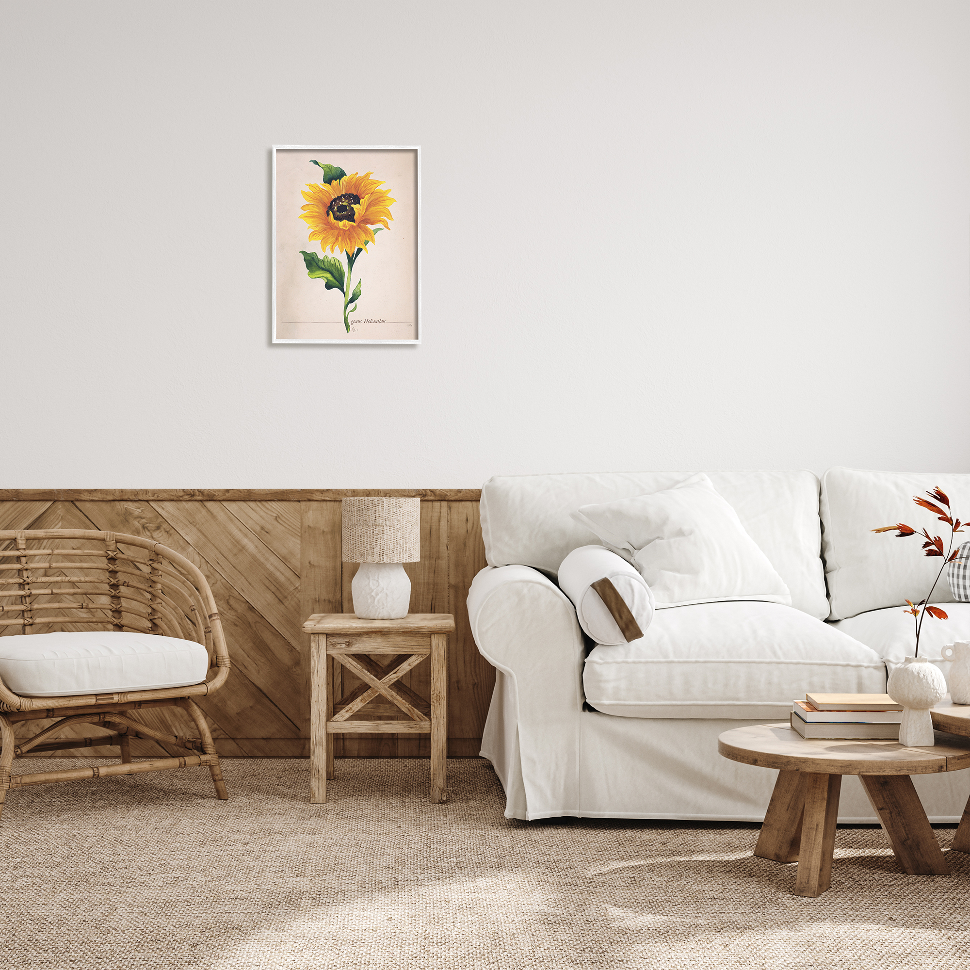 Stupell Industries Single Sunflower Blossom Genus Name Study Page Graphic Art White Framed Art Print Wall Art, Design by Elizabeth Medley