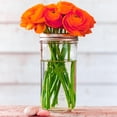 thumbnail image 5 of 24 Oz Mason Jars,6 Pack Wide Mouth Mason Jars 24Oz with Lids,Tall Mason Jars, 5 of 6