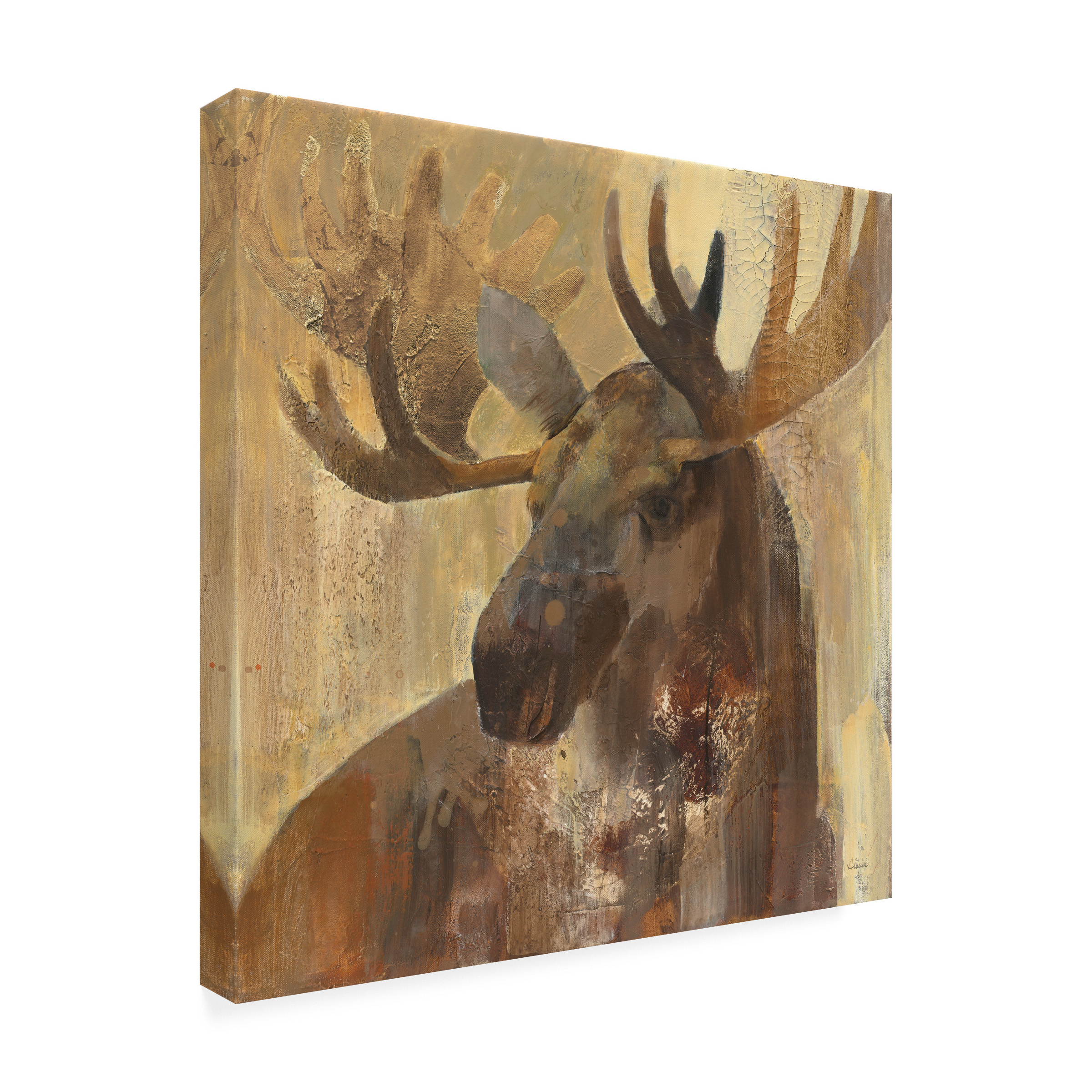 Trademark Fine Art 'Into The Wild Ii' Canvas Art by Albena Hristova