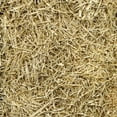 thumbnail image 5 of EZ-STRAW Just Straw All-Purpose Clean Processed Straw Bale, 1 cu. ft. (Covers 200 sq. ft.), 5 of 5