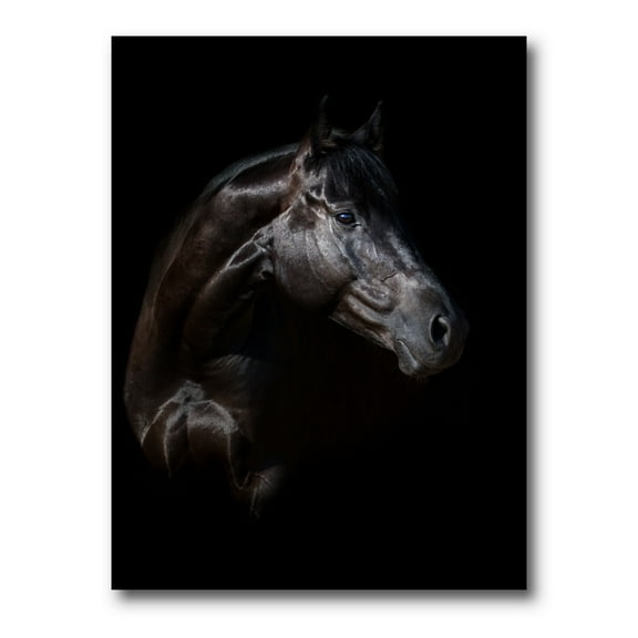 Designart ' Silhouette Of Horse and Woman ' Farmhouse Canvas Wall Art Print