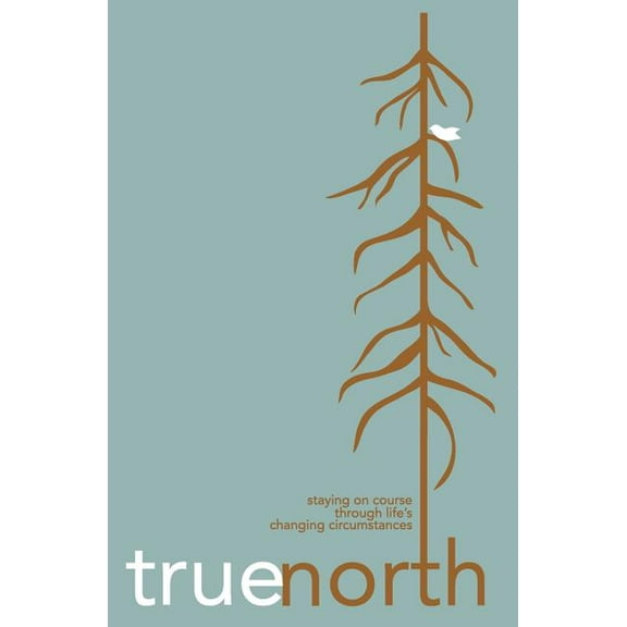 True North: Staying on Course Through Life's Changing Circumstances (Paperback) by Judi Braddy