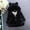 Black, variant on LFEOOST Kids Girls Winter Warm Coats Jacket Clothes Outwear Overcoat Ear Hooded Faux Fur Thicken Fleece Toddler Beige 110