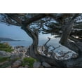 thumbnail image 2 of Fitzharris, Tim 18x13 Black Ornate Wood Framed with Double Matting Museum Art Print Titled - Pescdero Point-17-mile drive-Pebble-Beach-California-USA, 2 of 4