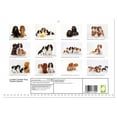 thumbnail image 2 of Lovable Cavalier King Charles Spaniel (Monthly Wall Calendar 2026 16.5 x 23.4 (open)), CALVENDO 14 Month Calendar, 2 of 9