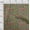 Moss Green, variant on oneOone Organic Cotton Poplin Twill Fabric Leaves & Floral Block Print Fabric BTY 42 Inch Wide