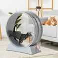 thumbnail image 2 of SalonMore 31'' Indoor & Outdoor Cat Exercise Wheel with Carpeted Runway, Cat Treadmill Wheel for Kitty's Longer Life and Fitness Weight, 2 of 7