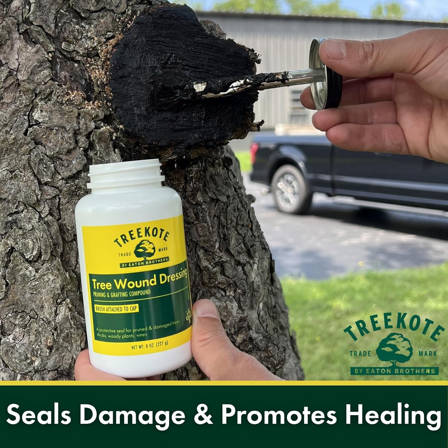 Treekote Wound Dressing Brushtop 8 OZ for Trees and Shrubs - Healing Paste and Tree Wound Sealer - Pruning Sealer, Grafting Compound - Bonsai Cut Paste and Sealant for Effective Tree Wound Repair