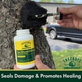 thumbnail image 2 of Treekote Wound Dressing Brushtop 8 OZ for Trees and Shrubs - Healing Paste and Tree Wound Sealer - Pruning Sealer, Grafting Compound - Bonsai Cut Paste and Sealant for Effective Tree Wound Repair, 2 of 7