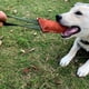 thumbnail image 4 of Juguete para morder y tirar para perros, palo de entrenamiento para perros al aire libre, juguete para masticar para perros, 4 of 6