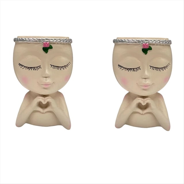 2 Piezas Maceta de Resina Maceta Macetas Decorativas Únicas Macetas de Flores Suculentas Maceta Macetas Maceta