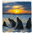 thumbnail image 2 of Animal Shower Curtain, Photo of the Bottle Nosed Dolphins in Sunset Ocean Sea Animals Aquatic Print, Fabric Bathroom Set with Hooks, 69W X 70L Inches, Blue Grey Orange, by Ambesonne, 2 of 2