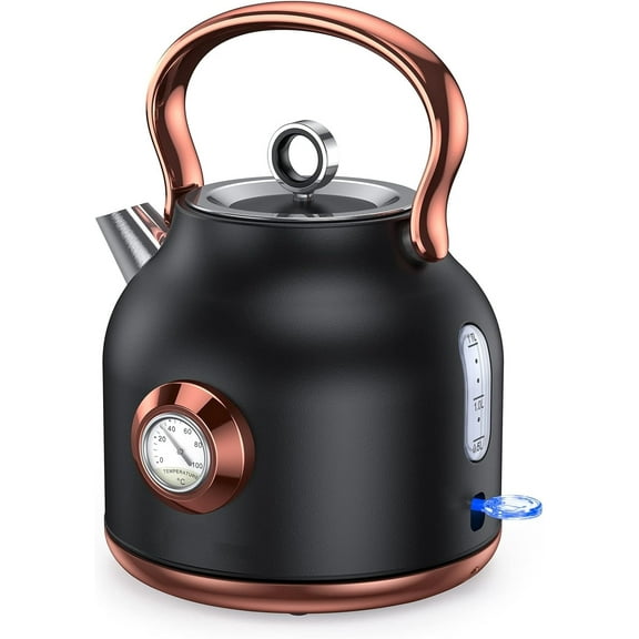 Retro Electric Kettle, 1.7L Stainless Steel Tea Kettle with Large Temperature Gauge, 1500W Fast Heating Hot Water Boiler with LED Indicator, Auto Shut-off & Boil-Dry Protection Black