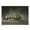 thumbnail image 1 of Africa Cutting Board, Fight Between 2 Gemsbok on Plains of Etosha Namibia Savage Safari Theme Design, Decorative Tempered Glass Cutting and Serving Board, Small Size, Brown Tan, by Ambesonne, 1 of 1