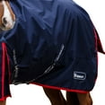 thumbnail image 3 of Whitaker Rastrick V2 Standard-Neck Contrast Detail Horse Turnout Rug, 3 of 4