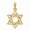 MultiColor, variant on 14K Yellow Gold Polished Textured Solid Star of David Pendant