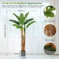 thumbnail image 4 of 5FT Tall Artificial Banana Tree, Fake Banana Tree w/ 11 Large Leaves, three Stalks, Natural Bark, Free Maintenance for Living Room Office Decor, 4 of 8