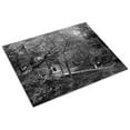 thumbnail image 3 of Print: Walking Path At Rock Creek Park, Washington, D.C., circa 1918-1920, 3 of 4