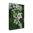 thumbnail image 2 of Trademark Fine Art Eva Bronzini Spring Series - Apple Blossoms in the Rain 4 12 Canvas Wall Art, 2 of 4