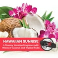 thumbnail image 4 of (2 pack) Refresh Your Car! Auto Hanging Air Freshener (Hawaiian Sunrise Scent, 1 Pack), 4 of 10